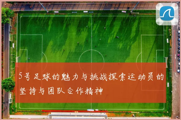 5号足球的魅力与挑战探索运动员的坚持与团队合作精神