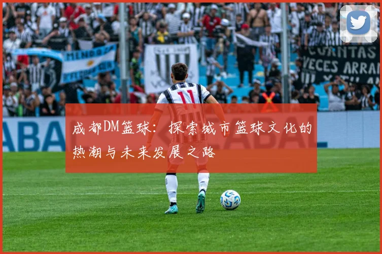 成都DM篮球：探索城市篮球文化的热潮与未来发展之路