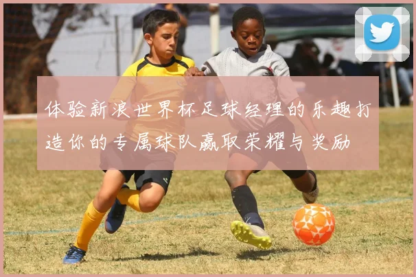 体验新浪世界杯足球经理的乐趣打造你的专属球队赢取荣耀与奖励