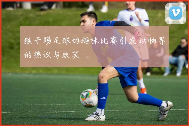 猴子踢足球的趣味比赛引发动物界的热议与欢笑