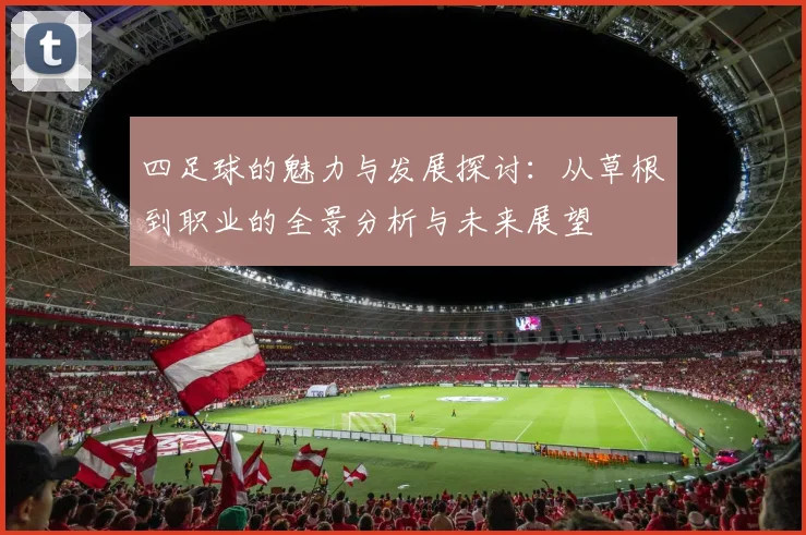 四足球的魅力与发展探讨：从草根到职业的全景分析与未来展望