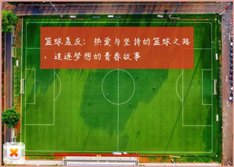 篮球聂友：热爱与坚持的篮球之路，追逐梦想的青春故事